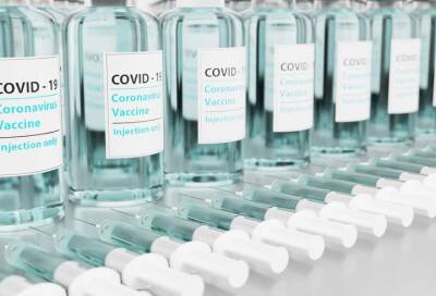 Виталий Зверев - Чем отличается лекарство против COVID-19 от вакцины - online47.ru - Россия