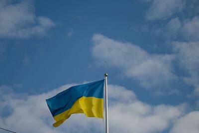 Владимир Зеленский - Алексей Арестович - На Украине отмену Путиным квот для ДНР и ЛНР назвали демаршем - lenta.ru - Москва - Россия - Украина - Киев - ДНР - ЛНР - Донецкая обл.