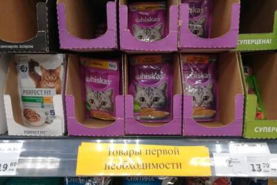 Неуловимая старушка ворует кошачьи корма в магазинах Новосибирска - novos.mk.ru - Новосибирск