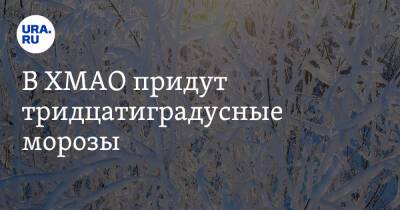 В ХМАО придут тридцатиградусные морозы - ura.news - Ханты-Мансийск - Сургут - Югра - Нижневартовск