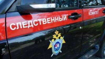 Под Новосибирском рабочий скончался после падения с крыши 9-метрового гаража - sib.fm - Новосибирск - Новосибирская обл.