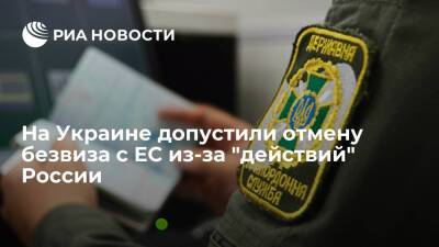 Владимир Путин - Александр Лукашенко - Политолог Петренко: Россия устроила миграционный кризис, чтобы лишить Украину безвиза с ЕС - ria.ru - Москва - Россия - Украина - Киев - Белоруссия - Польша - Литва
