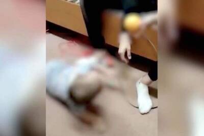 Вадим Шумков - В Курганской области проверят все детдома после инцидента с издевательствами - mk.ru - Курганская обл.