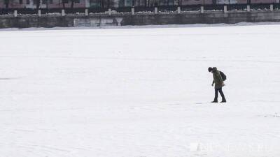 Зимой россияне впадают в «трудовую спячку» - newdaynews.ru - Россия