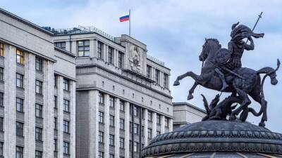 Ольга Амельченкова - В Госдуме заявили необходимости государственной поддержки НКО - iz.ru - Россия - Израиль - Афганистан