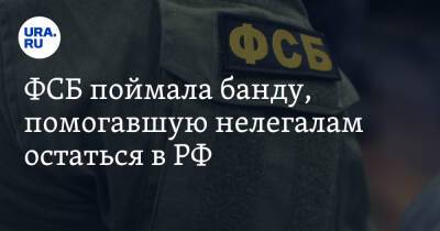 ФСБ поймала банду, помогавшую нелегалам остаться в РФ - ura.news - Россия - ЦФО - окр.Сзфо