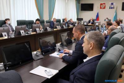 Сахалинские депутаты нашли, где теоретически можно сэкономить миллионы - sakhalin.info