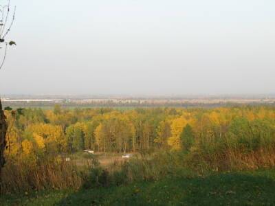 Петербургский ЗакС поддержал запрет на строительство храма в Малиновке - neva.today - Санкт-Петербург