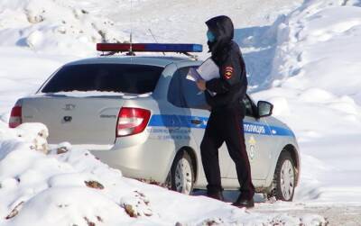 Против жительницы Югры, избившей полицейского рулоном обоев, возбуждено уголовное дело - znak.com - Россия - Югра