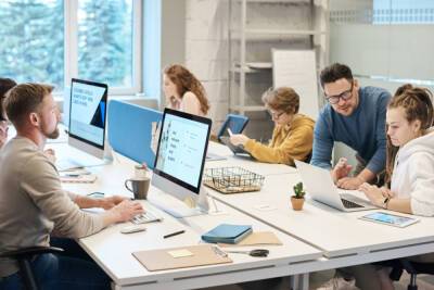Четверть петербуржцев готова работать за интерес, а не за деньги - abnews.ru