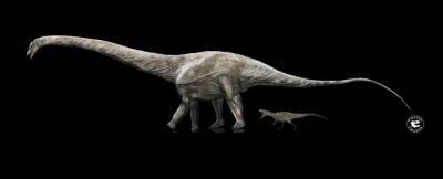 Анализ окаменелостей позволил найти самого длинного динозавра в истории - techno.bigmir.net