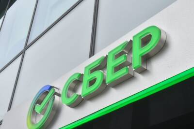Александр Ведяхин - Сбербанк закрыл книгу заявок на дебютное размещение «зелёных» облигаций - chita.ru