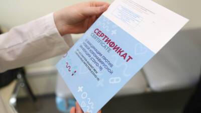 Депутат – о дополнении QR-кодов фотографиями: Это реакция системы на массовость подделок - mir24.tv - Россия