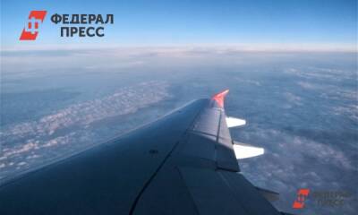 Полина Зиновьева - Летевший в Москву самолет экстренно сел в Новосибирске из-за неполадок - fedpress.ru - Москва - Россия - Новосибирск - Томск