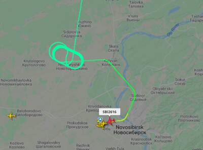 В Новосибирске совершил экстренную посадку самолёт из Томска - sib.fm - Москва - Новосибирск - Томск