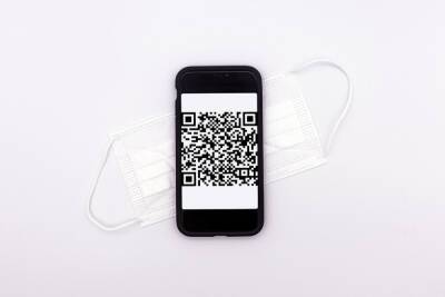 Что будет с QR-кодом, если заболел после вакцинации от COVID-19 - spb.mk.ru - Россия