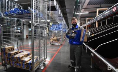 Максим Платонов - Татарстанцы потратили более 409 млн рублей на Ozon в распродажу 11.11 - realnoevremya.ru - респ. Татарстан