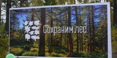 Александр Невский - В рамках акции "Сохраним лес" высадили 70 млн саженцев - ruposters.ru - Казахстан - Астраханская обл. - Экология
