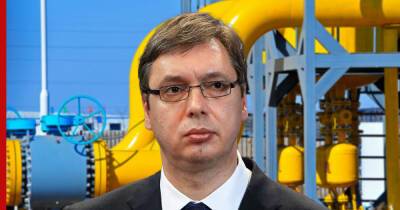 Владимир Путин - Александр Вучич - Сербия планирует увеличить закупки российского природного газа - profile.ru - Москва - Россия - Сербия