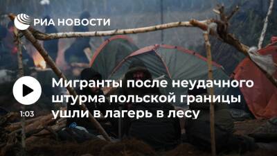 Мигранты после неудачного штурма польской границы ушли в лагерь в белорусском лесу - ria.ru - Белоруссия - Польша