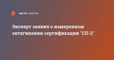 Александр Камкин - Эксперт заявил о намеренном затягивании сертификации "СП-2" - ren.tv - Россия - Германия