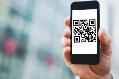 Предъявите QR-код: в Петербурге начали действовать новые ограничения - spb.mk.ru - Санкт-Петербург