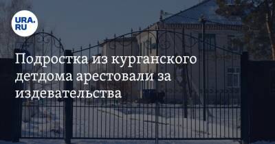 Подростка из курганского детдома арестовали за издевательства - ura.news - Россия - Курганская обл.