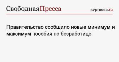 Михаил Мишустин - Правительство сообщило новые минимум и максимум пособия по безработице - svpressa.ru - Россия
