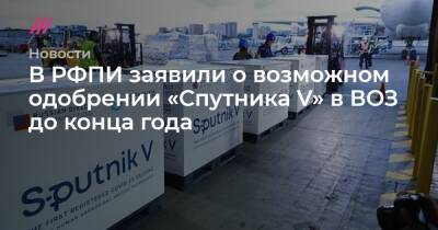Михаил Мурашко - В РФПИ заявили о возможном одобрении «Спутника V» в ВОЗ до конца года - tvrain.ru - Россия