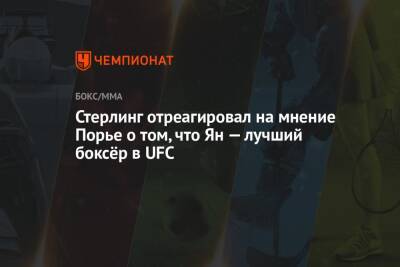 Дастин Порье - Конорый Макгрегорый - Ян Петр - Стерлинг отреагировал на мнение Порье о том, что Ян — лучший боксёр в UFC - championat.com - Россия - Абу-Даби - Ирландия