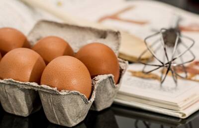 В Украине прогнозируют подорожание яиц: названа причина - agroportal.ua - Украина