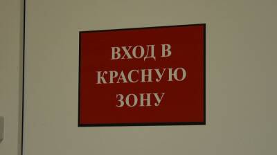 Стало известно число погибших после заражения в красной зоне воронежских медиков - vestivrn.ru - Воронеж - Воронежская обл.