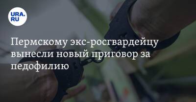 Пермскому экс-росгвардейцу вынесли новый приговор за педофилию - ura.news - Пермь