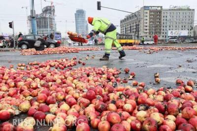 Зря смеялись: Русский ответ Польше принес первые плоды - rusonline.org - Россия - Польша