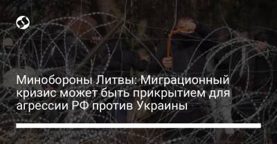 Арвидас Анушаускас - Минобороны Литвы: Миграционный кризис может быть прикрытием для агрессии РФ против Украины - liga.net - Россия - Украина - Белоруссия - Литва