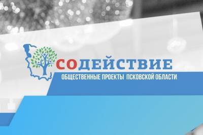 160 псковских СОНКО примут участие в региональном форуме «Содействие» - mk-pskov.ru - Псковская обл. - Псков