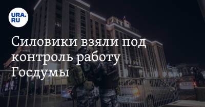 Владимир Андреев - Силовики взяли под контроль работу Госдумы - ura.news - Россия
