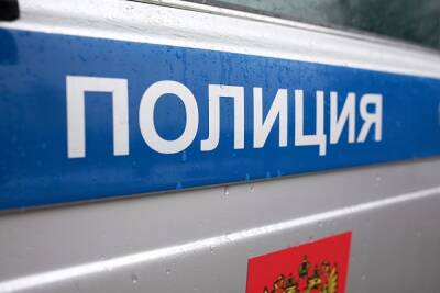 В Петербурга задержали подозреваемого в убийстве пенсионера, чьи останки нашли в Смоленке - znak.com - Санкт-Петербург