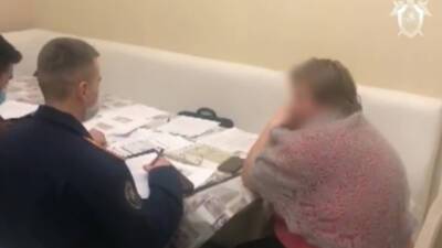 Александр Бастрыкин - Издевательства над пенсионерами в Мытищах: жуткие кадры и странные показания потерпевших - vesti.ru - Россия