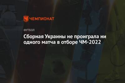 Сборная Украины не проиграла ни одного матча в отборе ЧМ-2022 - championat.com - Россия - Украина - Италия - Швеция - Финляндия - Шотландия - Португалия