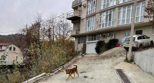Сочинцы потребовали сноса четырехэтажки из-за угрозы схода оползня - kavkaz-uzel.eu - Сочи - район Адлерский, Сочи