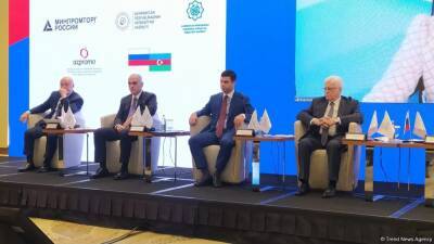 Азербайджан и Россия будут развивать платформу расширения делового сотрудничества - Орхан Мамедов (ФОТО) - trend.az - Россия - Азербайджан