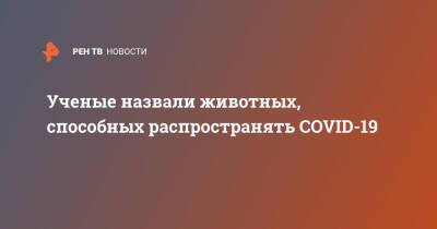 Ученые назвали животных, способных распространять COVID-19 - ren.tv - Нью-Йорк