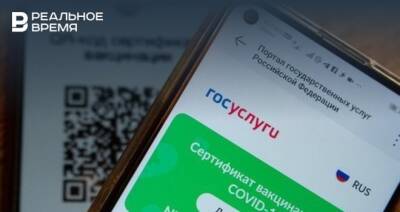 Выдача QR-кодов о медотводе через МФЦ Татарстана пока не обсуждается - realnoevremya.ru - респ. Татарстан