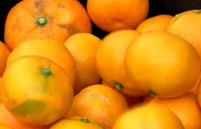 Диетологи назвали тех, кому вредны мандарины: какие болезни может вызвать продукт - politeka.net - Украина