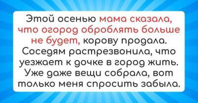 Мама активно собирает вещи и рассказывает соседям, что я заберу ее к себе, но я не планирую этого делать - skuke.net