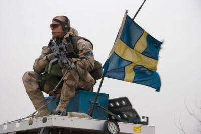 Петер Хультквист - Глава Минобороны Швеции заявил о готовности отправить военнослужащих на Украину - interaffairs.ru - Украина - Швеция