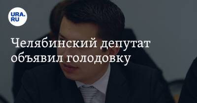 Челябинский депутат объявил голодовку - ura.news - Челябинск - район Центральный, Челябинск