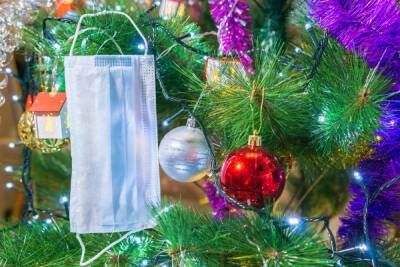 Максим Соколов - В Смольном рассказали, как Петербург проведет зимние каникулы в условиях пандемии - spb.mk.ru - Санкт-Петербург