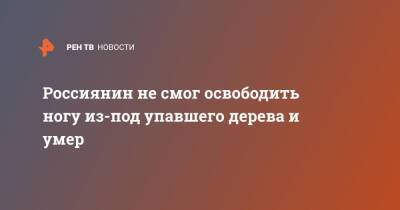 Россиянин не смог освободить ногу из-под упавшего дерева и умер - ren.tv - Московская обл. - Московская область